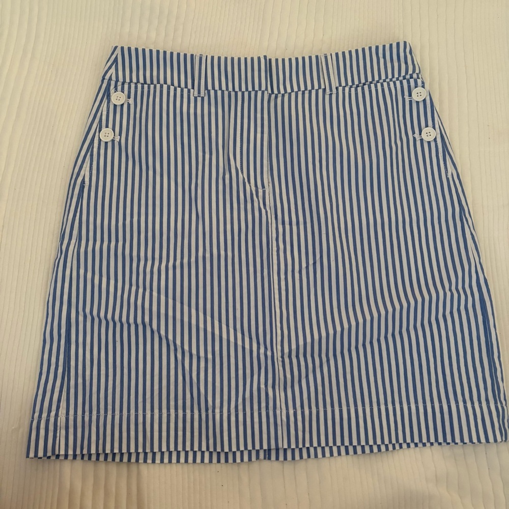 Talbots Blue and White Striped Mini Skirt